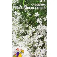Семена Цветы Клематис &laquo;Шестилепестный&raquo;, &laquo;Уральский Дачник&raquo; 10 шт.