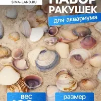 Набор ракушек Rose petal tellin, 100 г