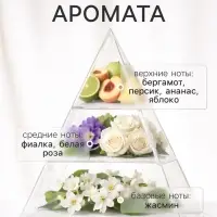 Диффузор ароматический с палочками Hygge Home Балийский цветок, 50 мл