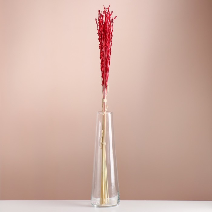 Набор сухоцветов Набор сухоцветов "Райграс", банч 21 шт, длина 60 (+/- 6 см), красный