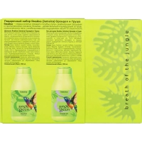 Подарочный набор 542 Jungle Green JAMAICA Шампунь250+Гель д/душа250 Колибри