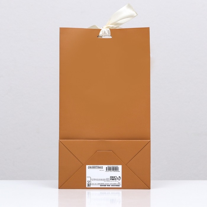 Пакет подарочный с лентой «Коричневый» 13 х 23 х 7 см, 1 шт.