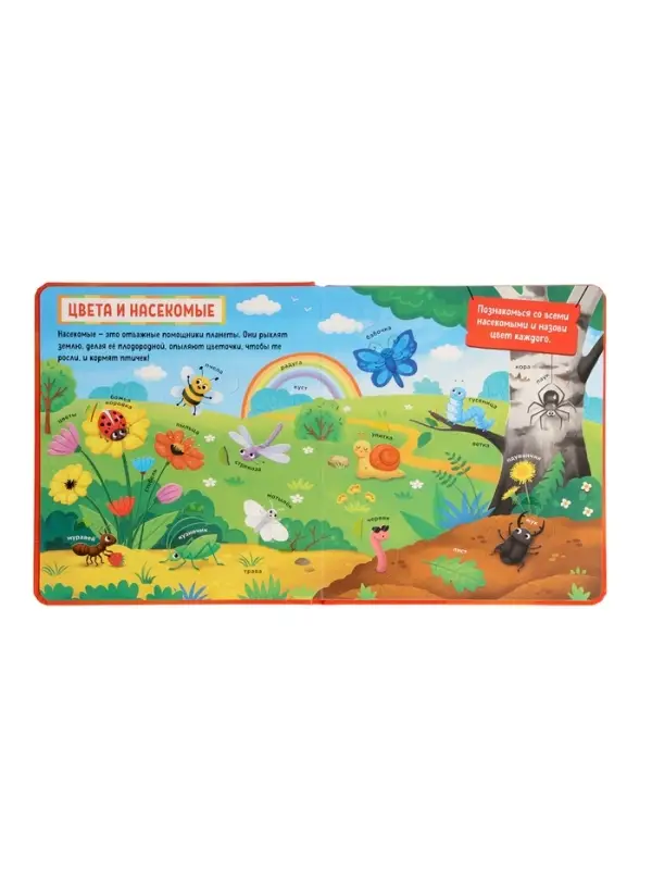 Книга с окошками &laquo;Мир вокруг меня!&raquo;, 100 окошек