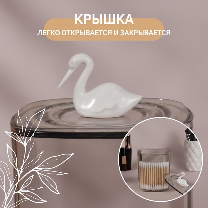 Органайзер для хранения «Пеликан», с крышкой, 9 × 9 × 13,5 см, цвет прозрачный