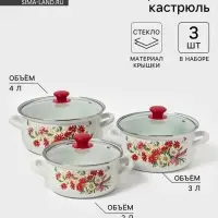 Набор кастрюль эмалированных &laquo;Астры-1-Экстра&raquo;, 3 предмета: 2 л, 3 л, 4 л, белый