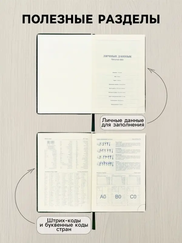 Ежедневник датированный Calligrata, А5, 2026, твёрдая обложка из искусственной кожи &laquo;Небраска&raquo;, 168 листов, зелёный