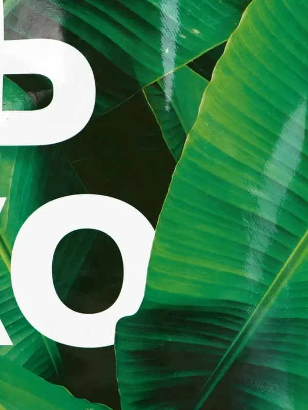 Сумка-пакет из нетканого материала с ламинацией, зелёный, эко, 36&times;46&times;16 см