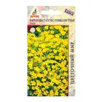 Семена Бархатцы «Лу Лу», 0.1 г, «Агрос» Семена Бархатцы «Лу Лу», 0.1 г, «Агрос»