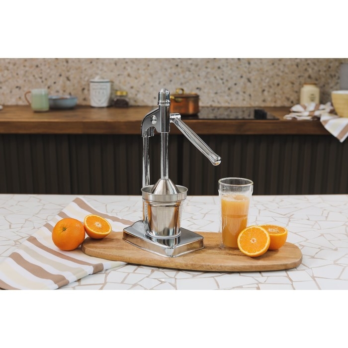 Соковыжималка механическая Доляна Fruits, 20×14,5×37 см Соковыжималка механическая Доляна Fruits, 20×14,5×37 см