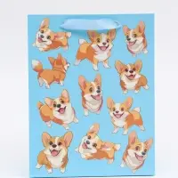 Пакет подарочный «Милые пёсики», MS 18 × 23 × 10 см Пакет подарочный «Милые пёсики», MS 18 × 23 × 10 см