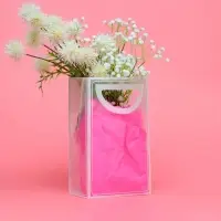 Пакет ПП с вырубной ручкой, прозрачный, 25&times;19&times;9 см, белый