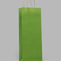 Пакет под бутылку бумажный &laquo;Зеленый&raquo;, 15&times;39&times;8 см, 80 г/м&sup2;