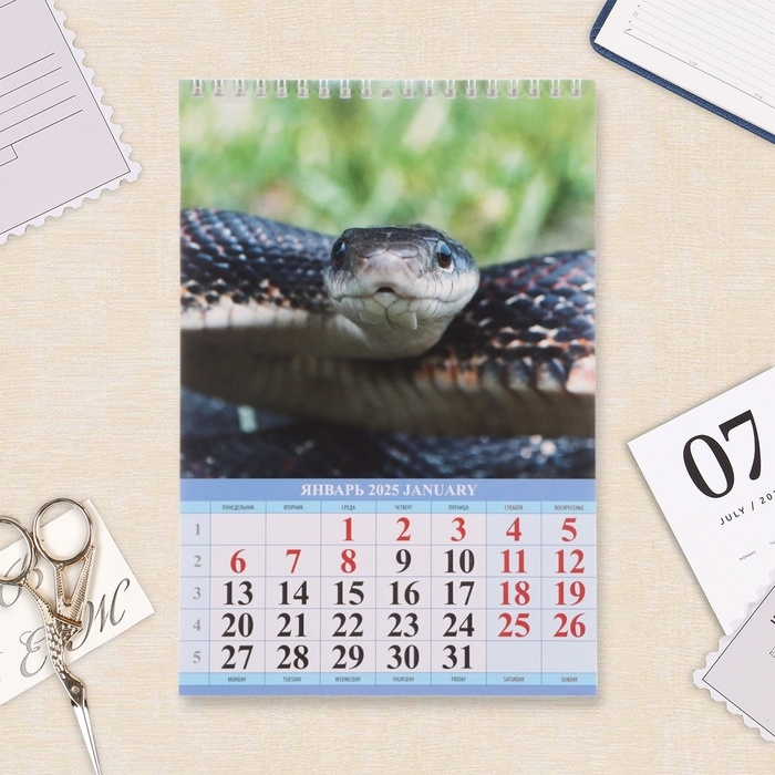 Календарь на пружине без ригеля Календарь на пружине без ригеля "Символ Года Вид - 2" 2025 год, 17 х 25 см