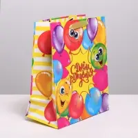 Пакет подарочный ламинированный, упаковка, «Весёлого дня рождения!», ML 23 х 27 х 11.5 см