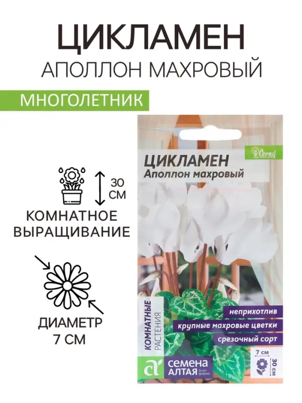 Семена комнатных цветов Цикламен &laquo;Аполлон&raquo;, 3 шт., &laquo;Семена Алтая&raquo;