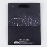 Пакет подарочный, упаковка, &laquo;Stars&raquo;, MS 23 x 18 х 10 см