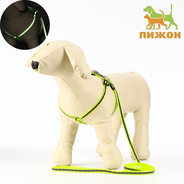 Комплект светоотражающий Комплект светоотражающий "Косточки", ошейник 120 х 1 см, ОШ 26-42 см, ОГ 26-42 см, зелёный