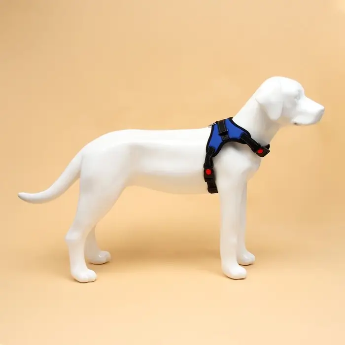 Шлейка К7, размер М, ОГ 52-66 см, вес 9.5-17.5 кг, мягкая, светоотражающая, синяя