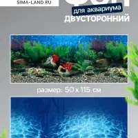 Фон для аквариума двухсторонний, 50&times;115 см