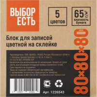 Блок для записей проклеенный &nbsp;8х8х8, 5 цветов 80 г