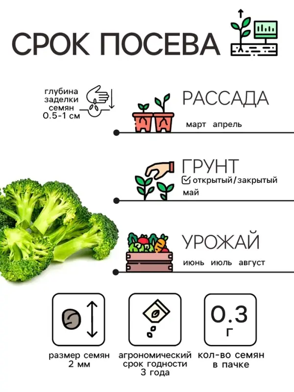 Семена Капуста брокколи  Семена Капуста брокколи "Тонус", 0,3 г