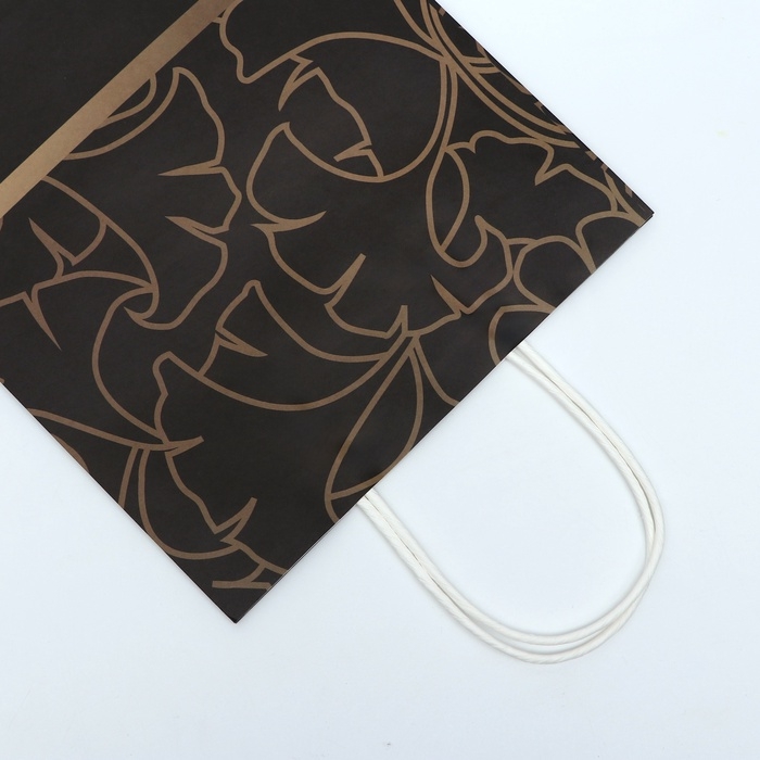 Пакет подарочный крафтовый  Пакет подарочный крафтовый "Поздравляю" 27 х 22 х 11 см, 120 г/м²