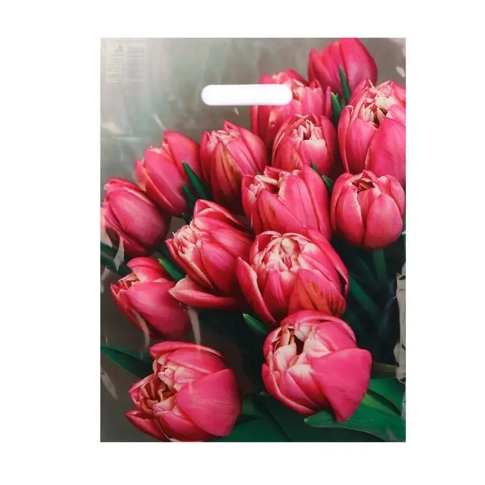 Пакет Пакет "Стелла", полиэтиленовый с вырубной ручкой 31х40 см, 60 мкм