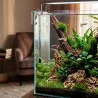 Термометр для аквариума &laquo;Крючок&raquo;, 15 см