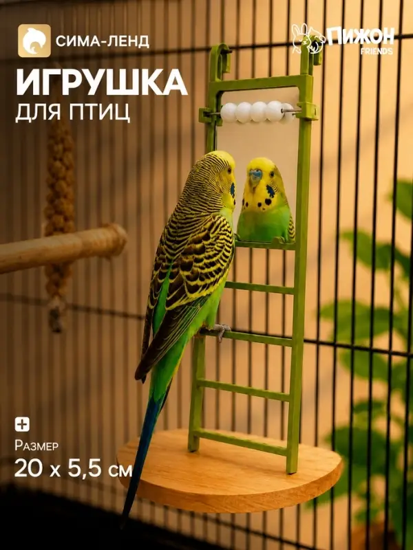 Игрушка для птиц &laquo;Лесенка&raquo;, 20&times;5.5 см, 4 ступени, зеркало, бусинки, зелёная