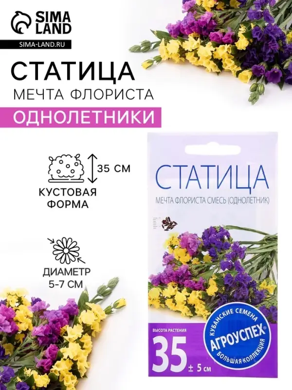 Семена цветов Статица &laquo;Мечта флориста&raquo;, смесь, 0.1 г, однолетник, &laquo;Агроуспех&raquo;