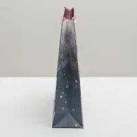 Пакет подарочный ламинированный, упаковка, &laquo;Счастья тебе!&raquo;, ML 23&times;27&times;11.5 см