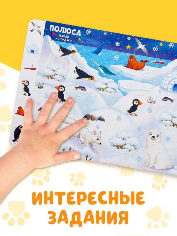 Книга картонная с окошками &laquo;Найди, открой, покажи!&raquo; 10 стр.