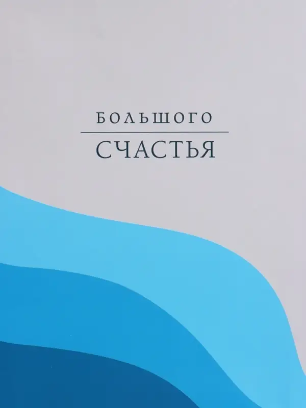 Пакет подарочный "Большого счастья" ламинированный 26 х 12 х 32 см
