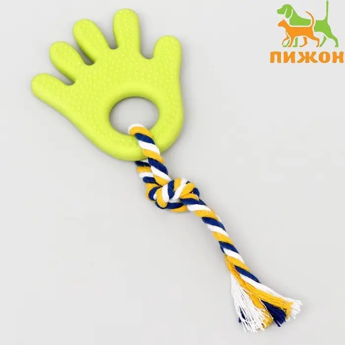 Игрушка жевательная для собак &laquo;Ладошка&raquo;, 10 см, с канатом, салатовая