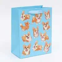 Пакет подарочный «Милые пёсики», MS 18 × 23 × 10 см Пакет подарочный «Милые пёсики», MS 18 × 23 × 10 см