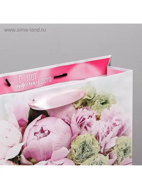 Пакет подарочный ламинированный, упаковка, &laquo;Радости!&raquo;, ML 23&times;27&times;11.5 см