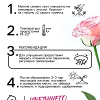 Семена цветов Эустома &laquo;Эйбиси роуз рим&raquo;, F1, крупноцветковая махровая, 5 шт., однолетник, &laquo;Аэлита&raquo; селекция PanAmerican Seed