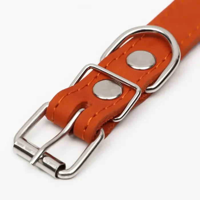 Ошейник однослойный, безразмерный, 56&times;2.5 см, ОШ 17-44 см, кожа, оранжевый