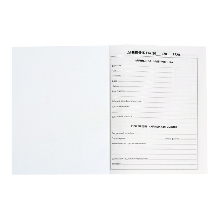 Дневник школьный для 1-11 классов, «Девочка со скейтом», твёрдая обложка 7БЦ, глянцевая ламинация, 40 листов Дневник школьный для 1-11 классов, «Девочка со скейтом», твёрдая обложка 7БЦ, глянцевая ламинация, 40 листов