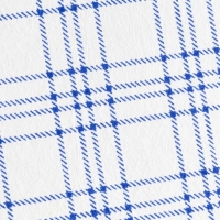 Салфетки хозяйственные Vileda ТиТауэл микро 40х60см бел/син 3шт/уп 128425