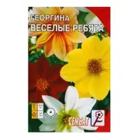 Семена цветов Георгина &laquo;Веселые ребята&raquo;, однолетник, 0.1 г, &laquo;Сембат&raquo;