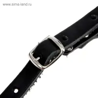 Намордник кожаный №4, сетчатый, с перемычкой, ротвейлер, длина по носу 9 см, обхват морды 34 см
