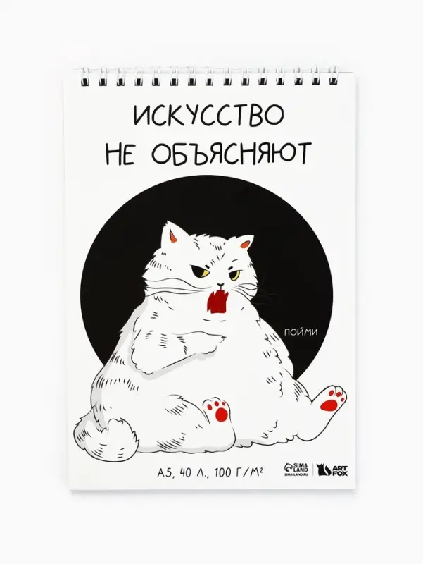 Скетчбук А5, 40 л 100 г/м&sup2; &laquo;Кот&raquo;