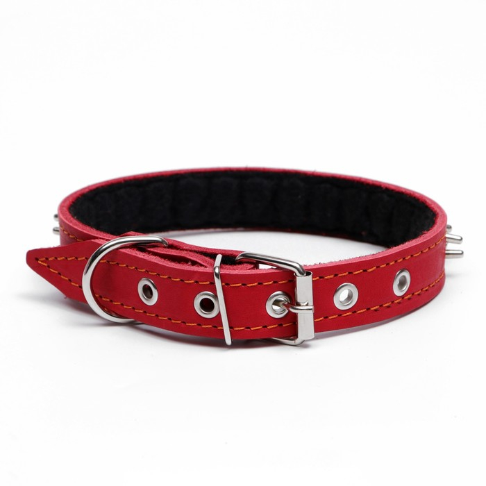Ошейник кожаный на синтепоне Ошейник кожаный на синтепоне "Ёж", 56 х 2.5 см, ОШ 35-45 см, красный