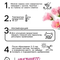 Семена цветов Эустома &laquo;Супер Мэджик&raquo;, F1, смесь, 8 шт., DARIT, &laquo;Агроуспех&raquo;