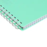 Блокнот А5 80 листов, в клетку, на гребне, NEWtone PASTEL МЯТА, пластиковая обложка, блок 80 г/м2, МИКС