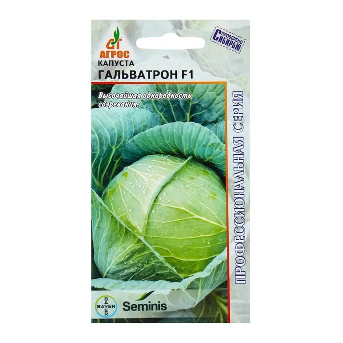 Семена Капуста белокочанная, &laquo;Гальватрон&raquo;, F1, 15 шт., Seminis, &laquo;Агрос&raquo;