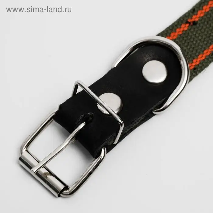 Ошейник брезентовый щенячий однослойный, 70 х 3 см, ОШ 32-66 см, хаки/оранжевый Ошейник брезентовый щенячий однослойный, 70 х 3 см, ОШ 32-66 см, хаки/оранжевый