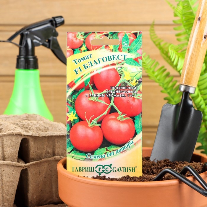 Семена Томат  Семена Томат "Благовест" F1, раннеспелый,детерминантный,среднерослый,  12 шт.