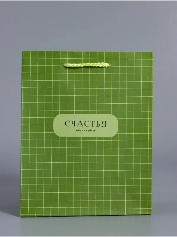 Пакет подарочный ламинированный &laquo;Здесь и сейчас&raquo;, оливковый, 18&times;22.3&times;10 см